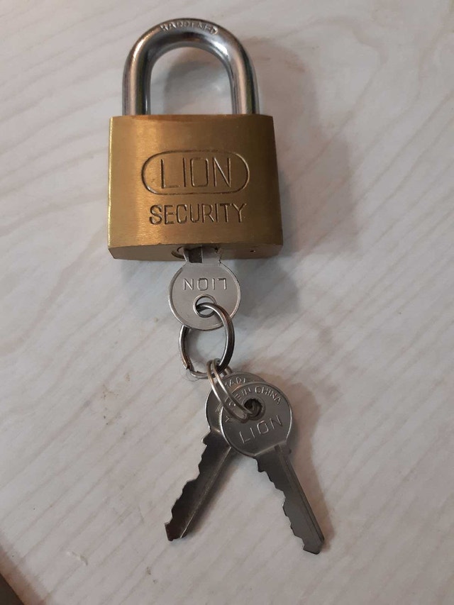 Padlock Lion Security