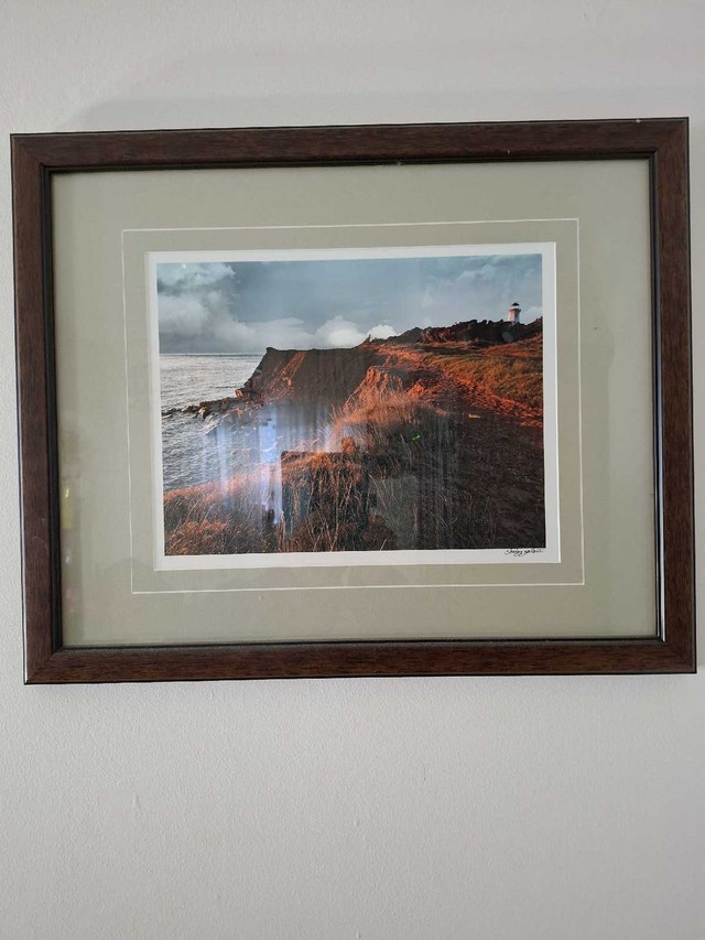 Shore Shirley Gallant