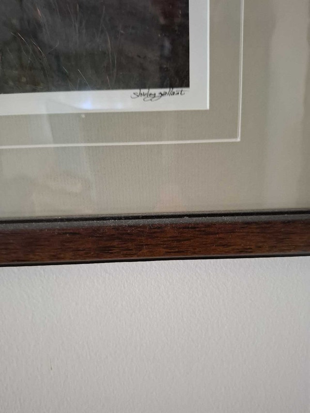 Shore Shirley Gallant - photo 2