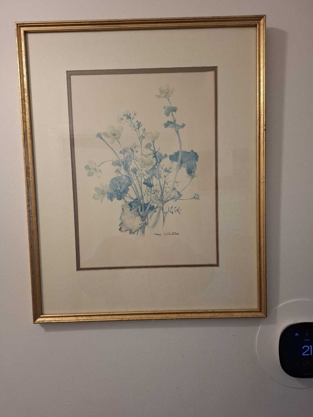 Flowers by Mary Mcmurtrie