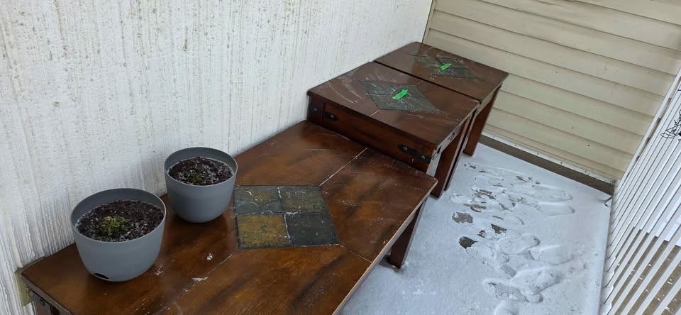 Set: Rustic coffee table and 2 end tables - photo 2