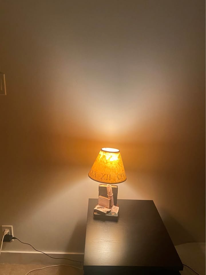 Cute Night Lamp with Bulb – Works Perfectly - photo 4