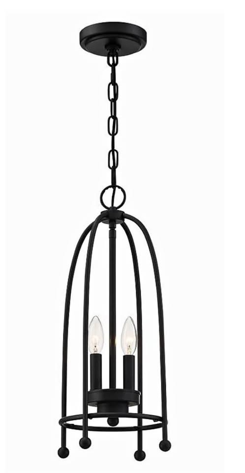 Designer Home 2 light Pendant