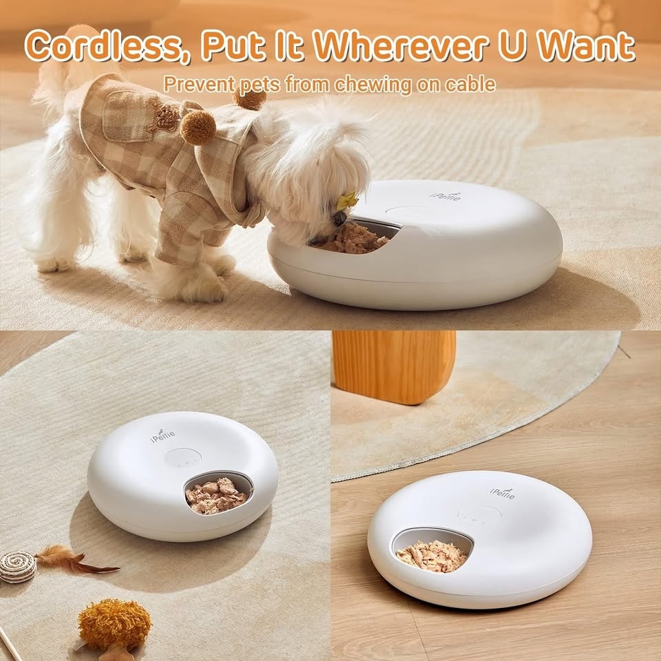 iPettie Automatic Pet Feeder with Ice Packs - photo 4