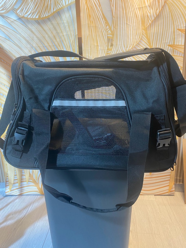 Breathable Mesh Small Dog Cat  Carrie Bags