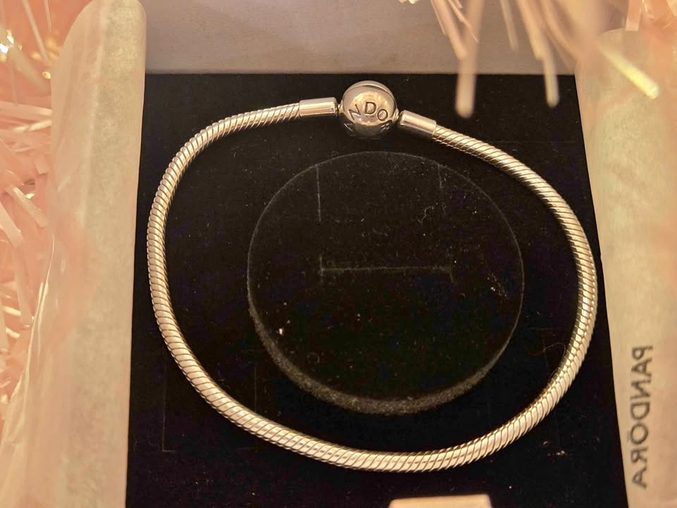 Pandora Moments Snake Chain Bracelet - Bestseller - NEW & In box - photo 2