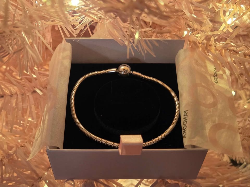 Pandora Moments Snake Chain Bracelet - Bestseller - NEW & In box