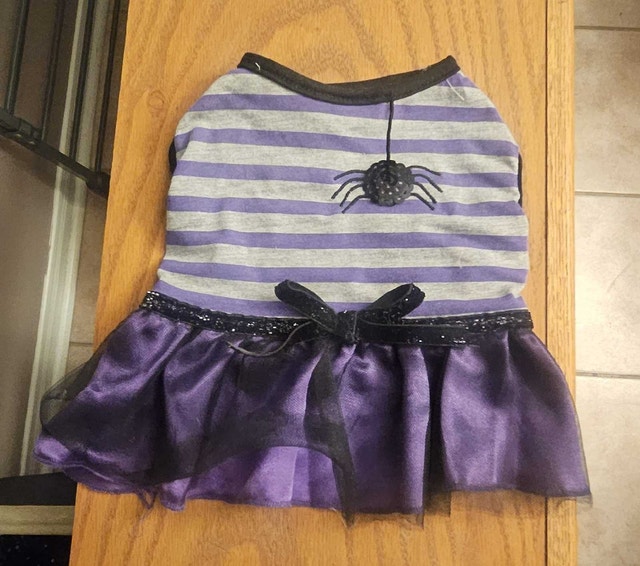 Small Cat & Dog Halloween Clothing - photo 4