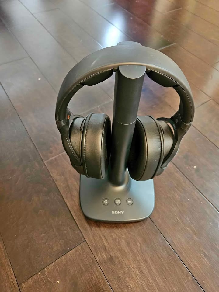 Sony Digital Surround Wireless Headphones - WH-L600