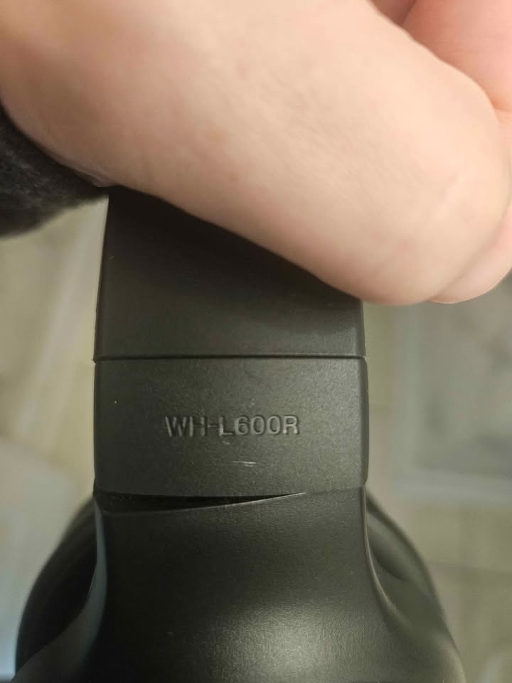 Sony Digital Surround Wireless Headphones - WH-L600 - photo 3