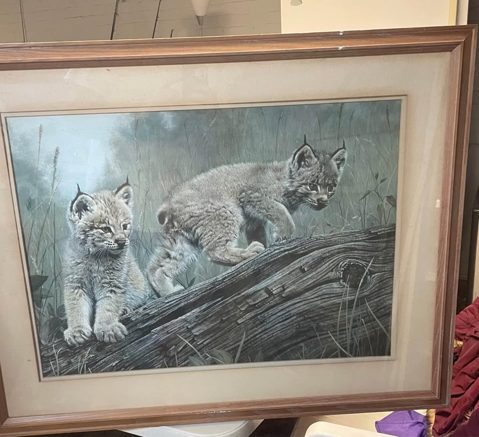 Double Trouble - Bobcats by Charles Frace'
