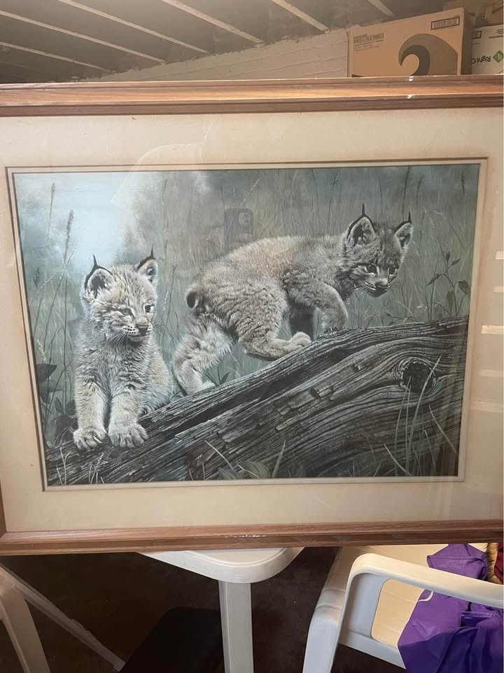 Double Trouble - Bobcats by Charles Frace' - photo 2