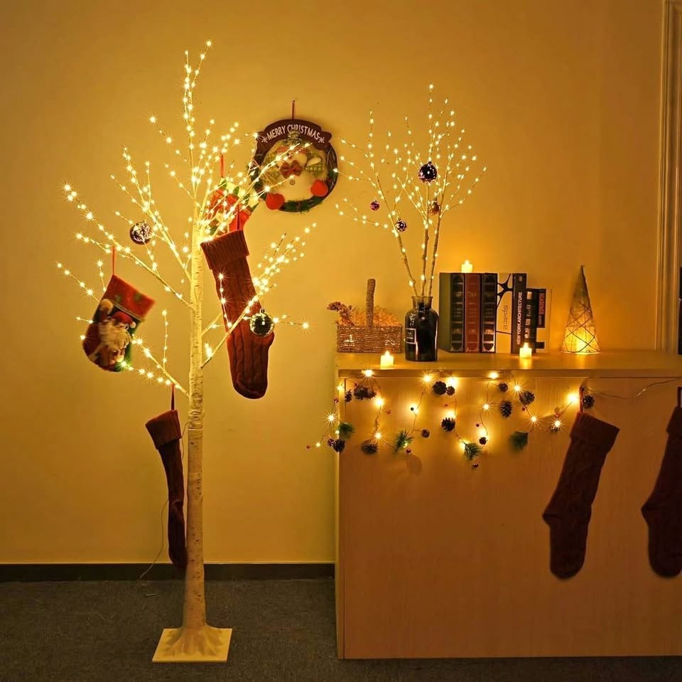 New birch tree