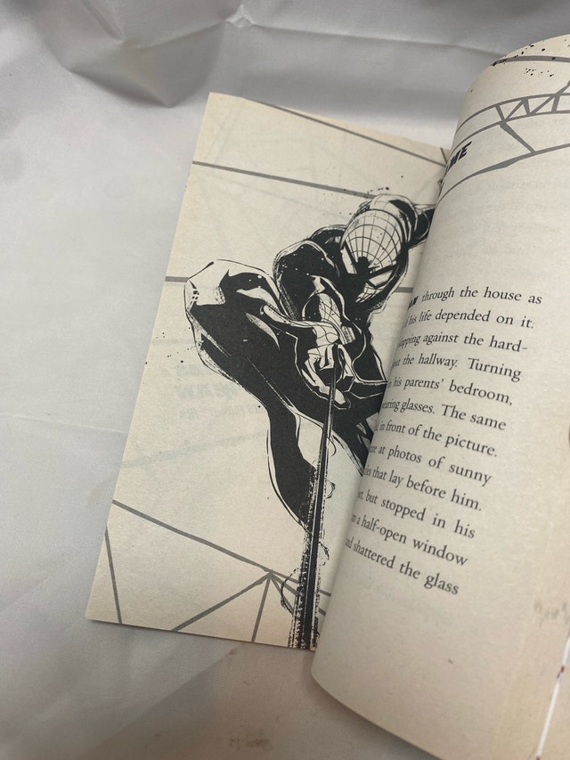 Spider-Man: Tangled Webs - Paperback - photo 3