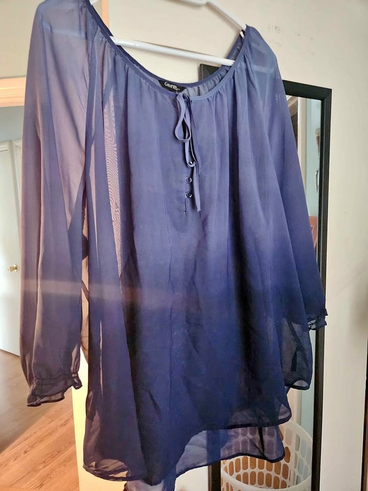 Plus size Sheer top