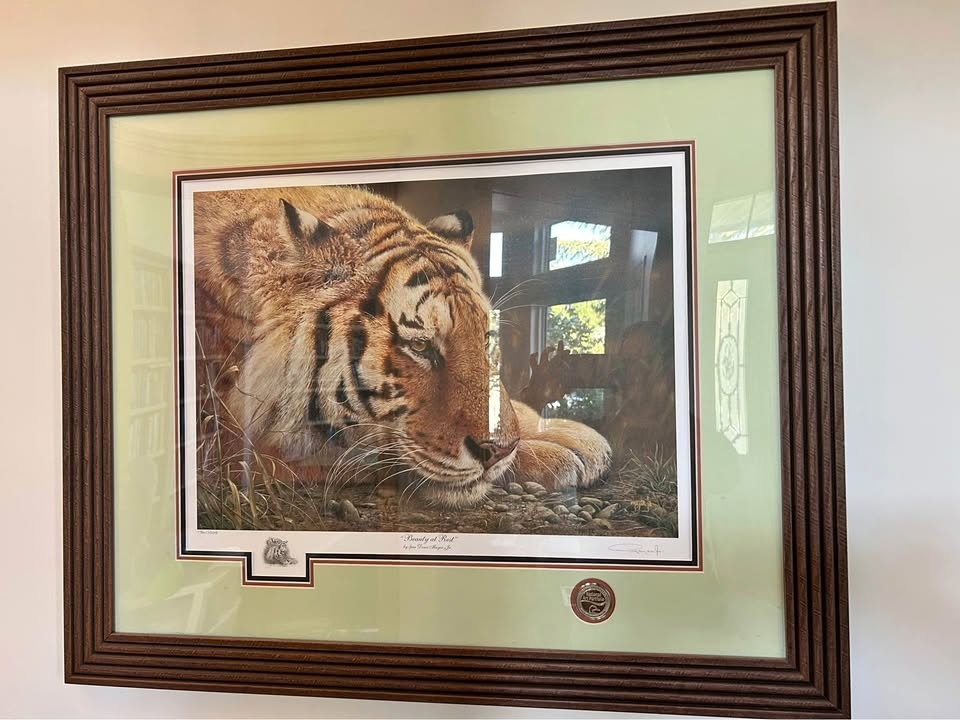 Tiger print framed!