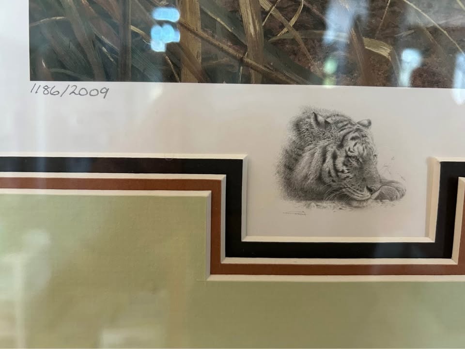 Tiger print framed! - photo 2