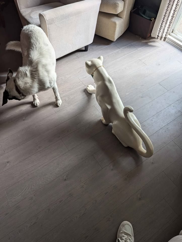 Ceramic white puma - photo 3