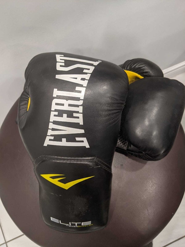Everlast Pro Style Elite 2.0 12oz Training Gloves