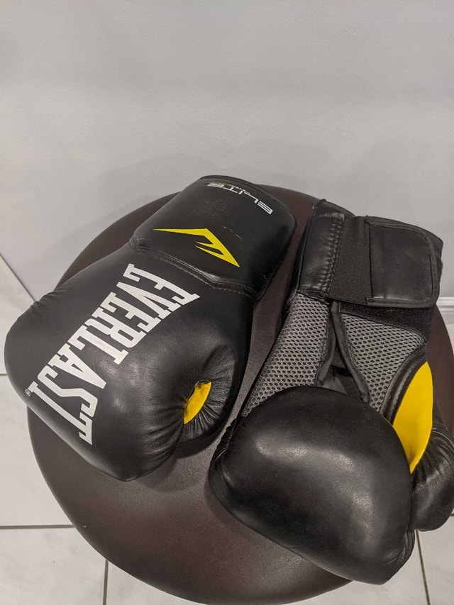 Everlast Pro Style Elite 2.0 12oz Training Gloves - photo 2