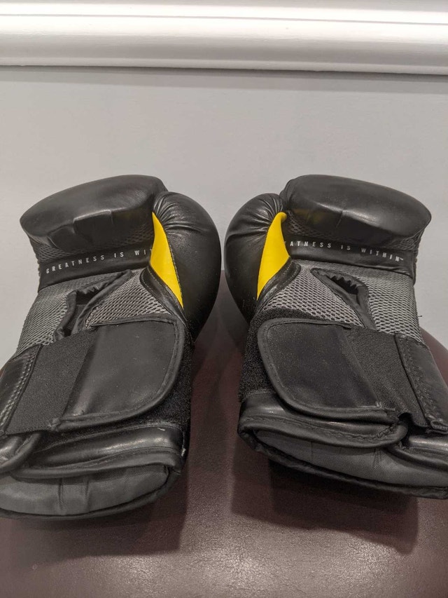 Everlast Pro Style Elite 2.0 12oz Training Gloves - photo 3