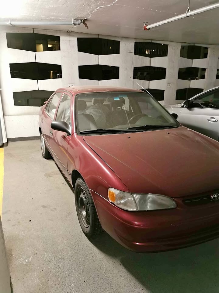 Mint | 1999 Toyota Corolla LX