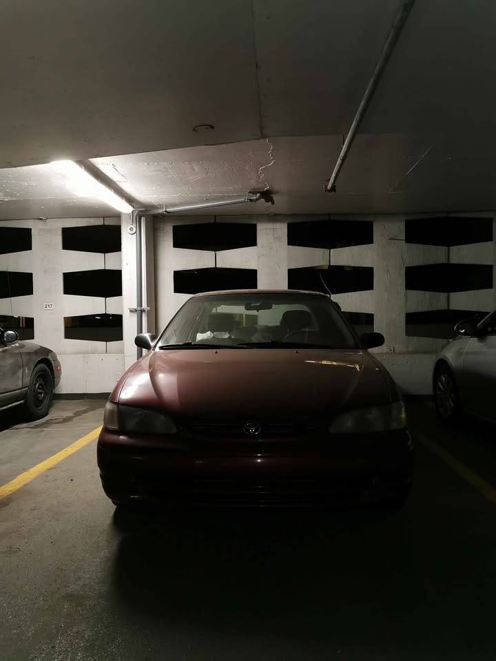 Mint | 1999 Toyota Corolla LX - photo 3
