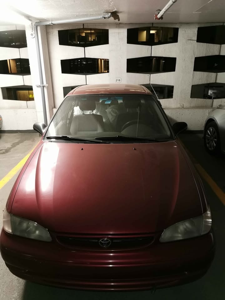 Mint | 1999 Toyota Corolla LX - photo 4