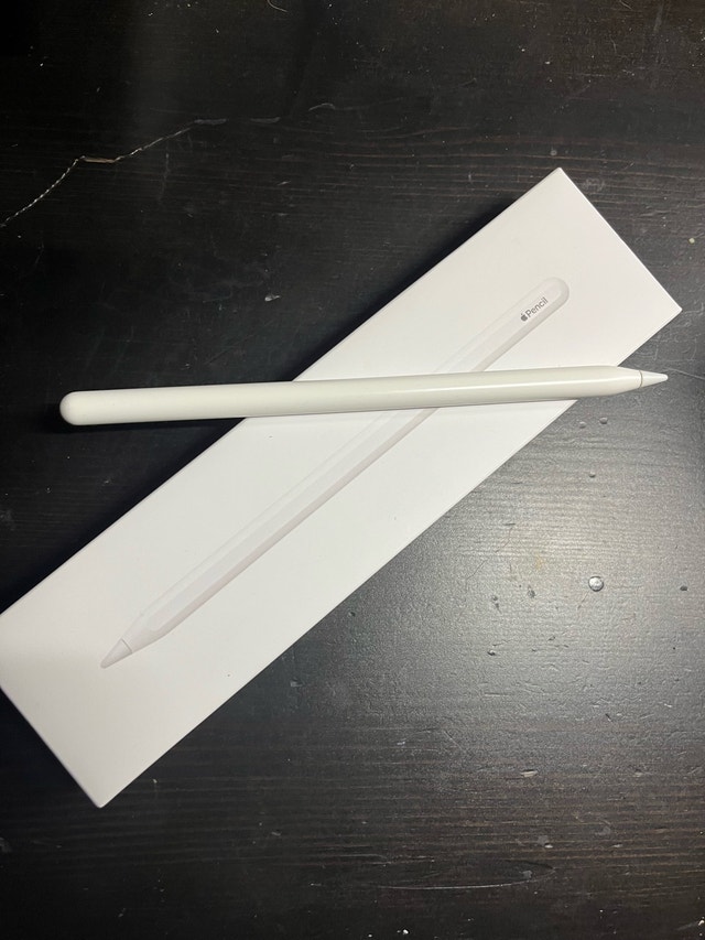 iPad Pro + Apple Pencil + Cases - photo 3