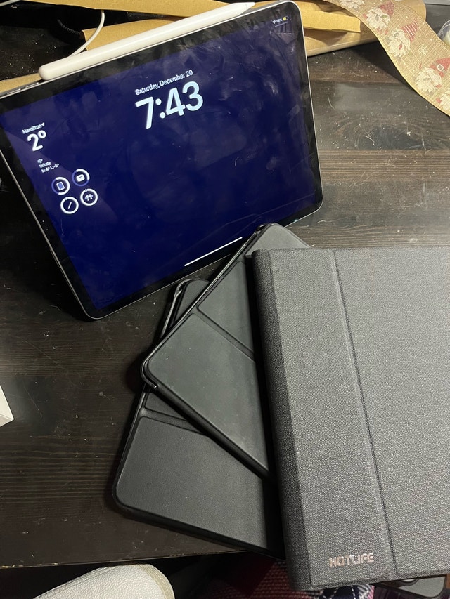 iPad Pro + Apple Pencil + Cases - photo 5