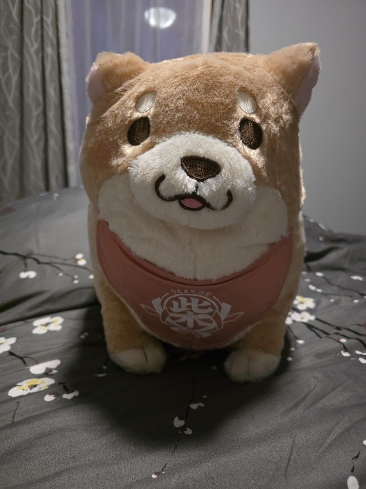 Shibainu Mochishiba Super big Plush
