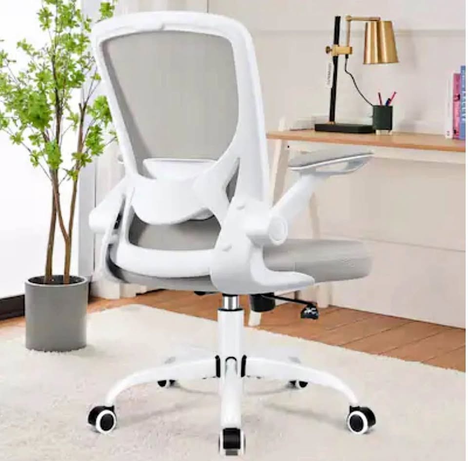 Ergonomic Mesh Chair with Lumbar Support