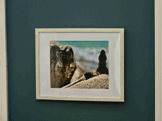 Original photography framed