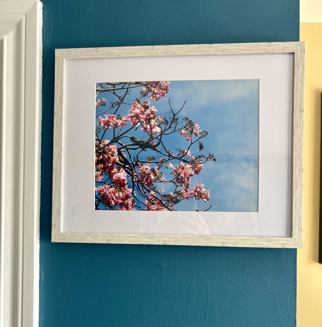 Original photography framed - photo 5