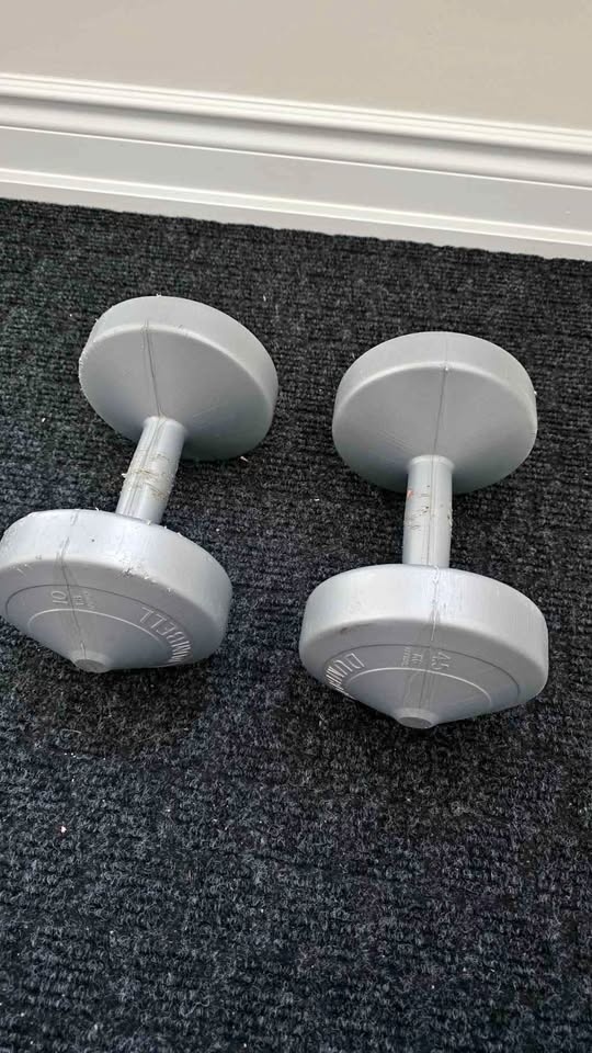 10 lbs dumbbell set of 2