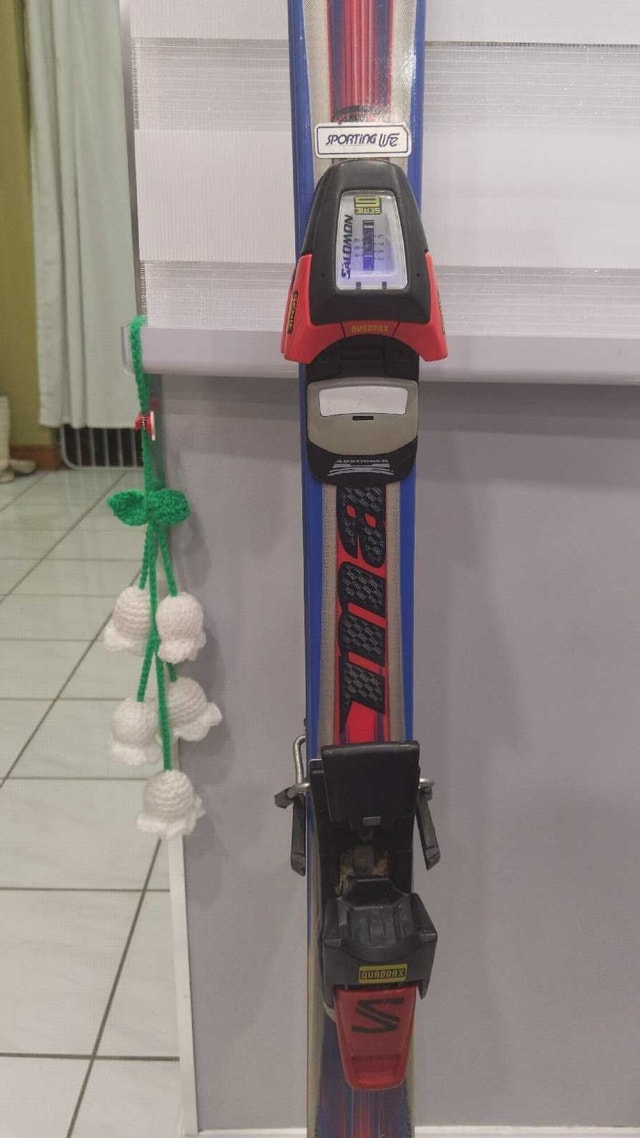 Dynastar Skis - photo 2