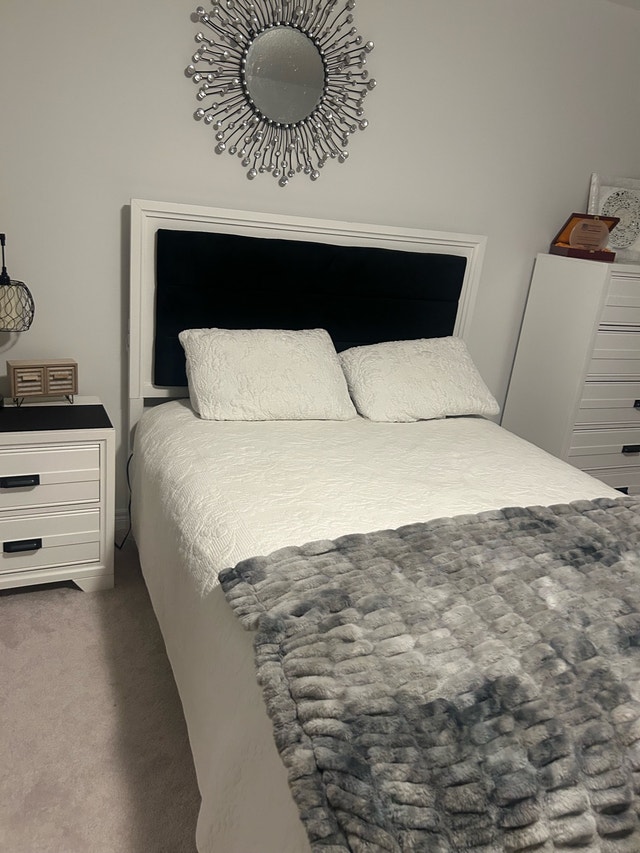 New - Queen Bedsheet and two Pillow Cases