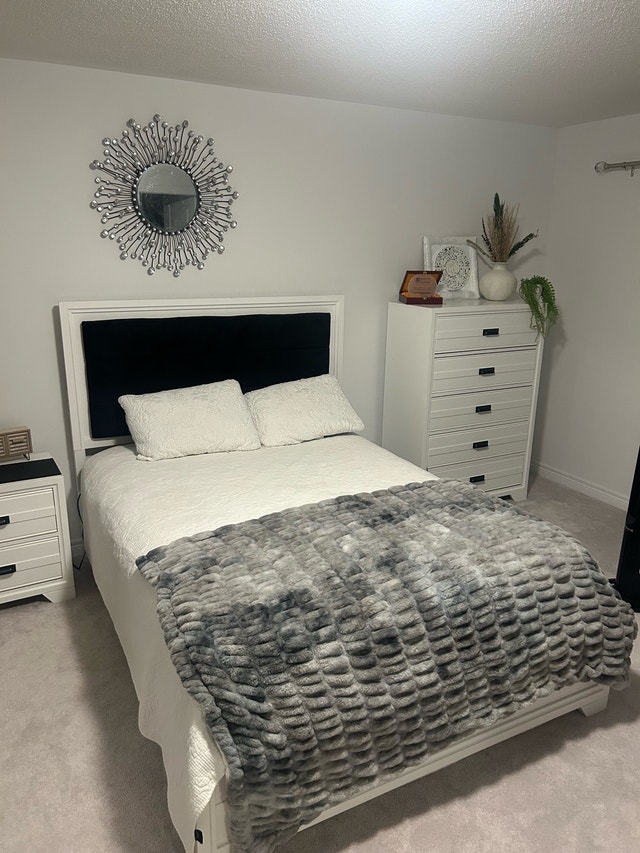 New - Queen Bedsheet and two Pillow Cases - photo 3