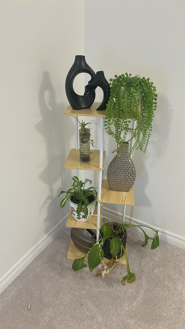 New- Plant stand