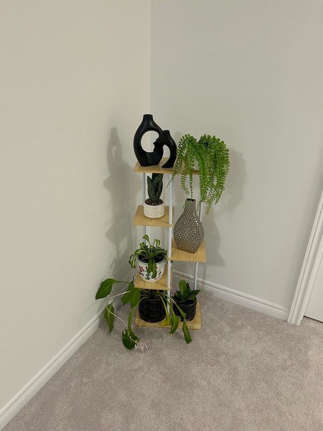 New - Bamyworld Plant Stand