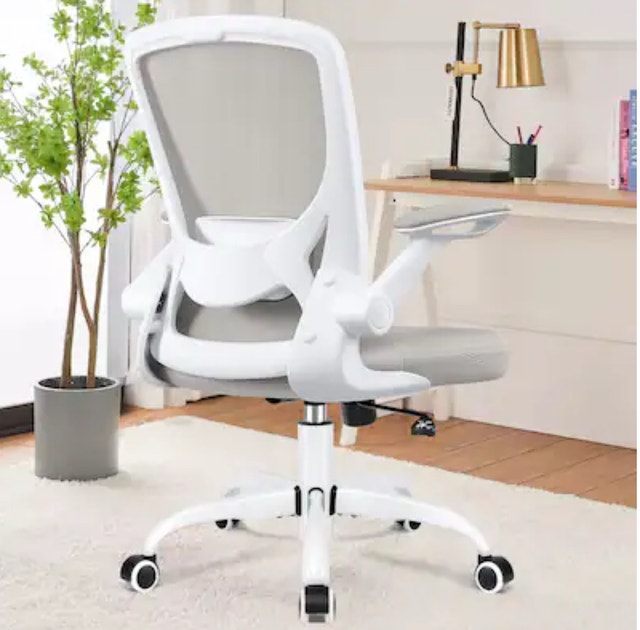 Ergonomic Mesh Chair with Lumbar Support