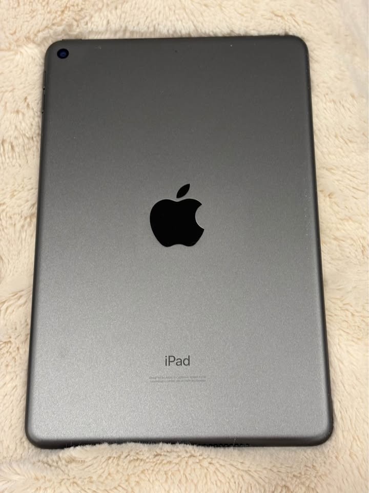 Apple iPad Mini 5th generation 64GB - photo 3