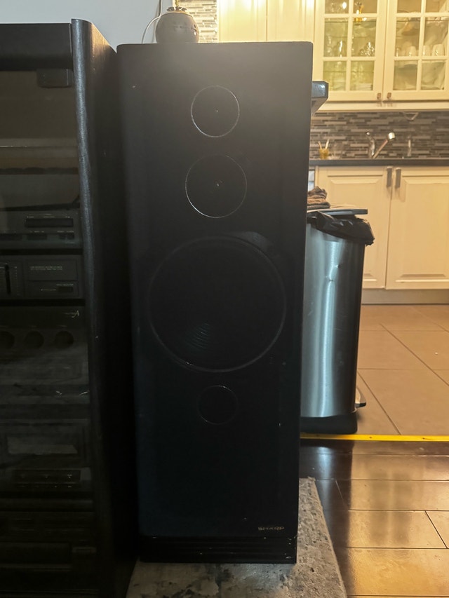 Sharp CP-6800 S Vintage 3-Way Floor Standing Speakers - photo 2