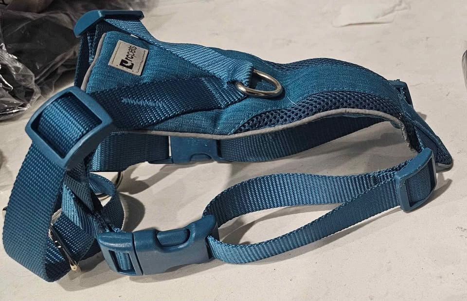 No-choke Dog Leash Small- Medium Dog - photo 4
