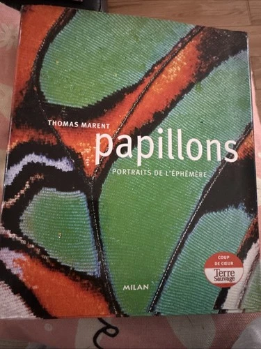Papillons: Portraits de L’Éphémère
