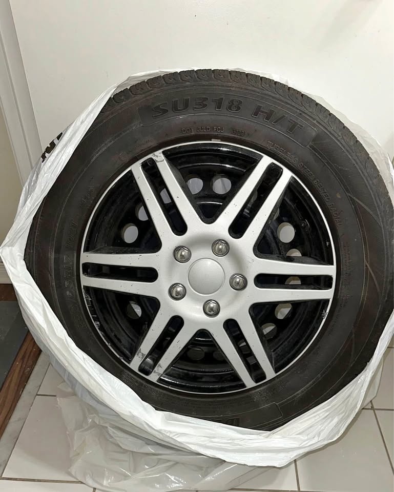 225/65R17 Westlake Tires on Toyota RAV4 2019 Steel Rims