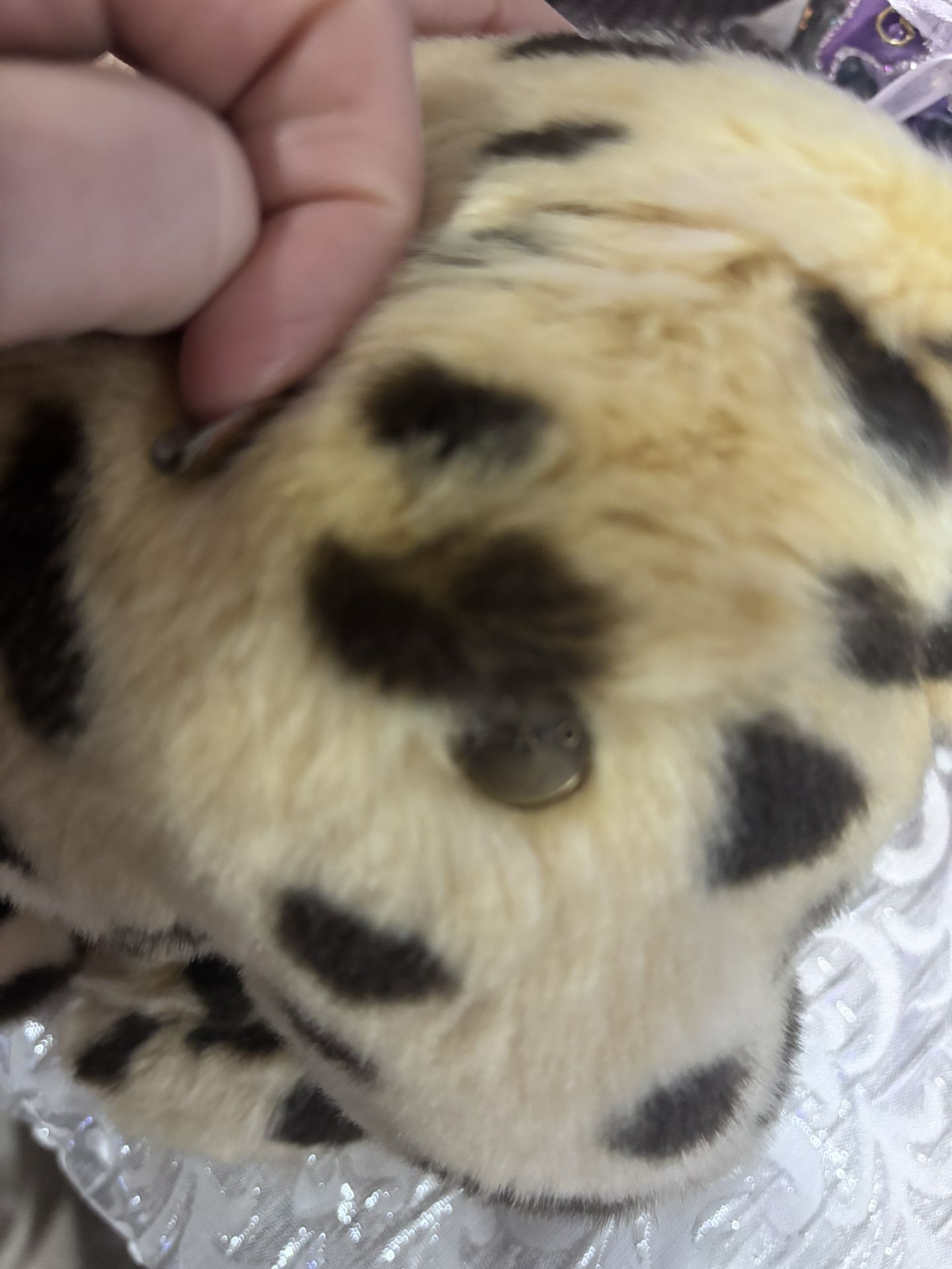 Beautiful Cougar Cub Plush FAO Schwarz - photo 5
