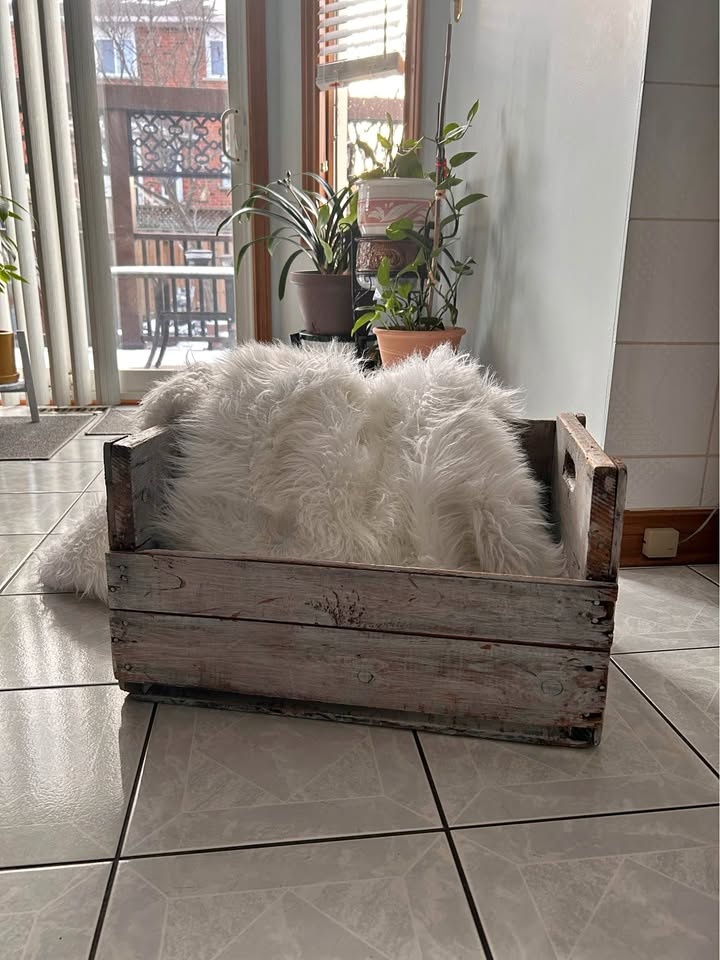Rustic Wooden Storage Crate