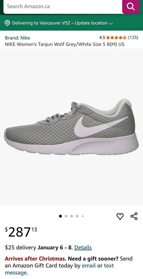 BRAND NEW Nike Tanjun Size 5.5 $20