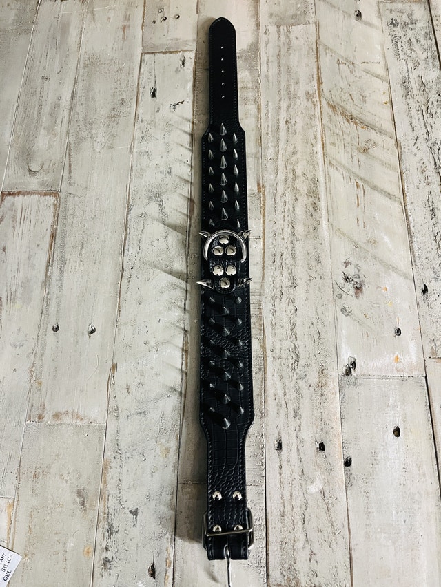 Spiked Dog Collar - photo 2